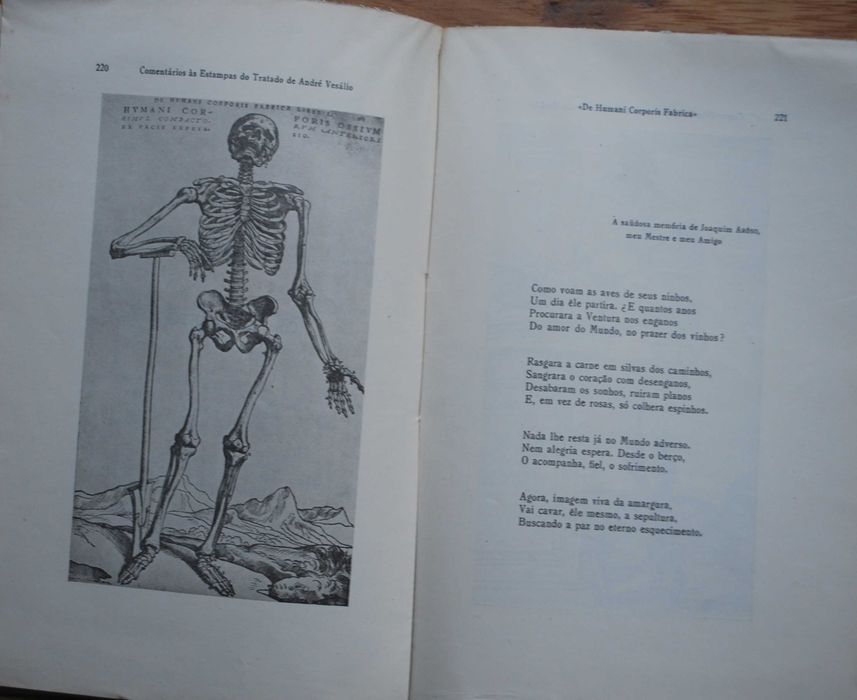 Comentários Às Estampas do Tratado de André Vesálio