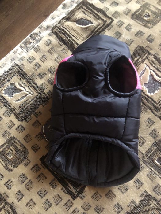 Одежда для собак