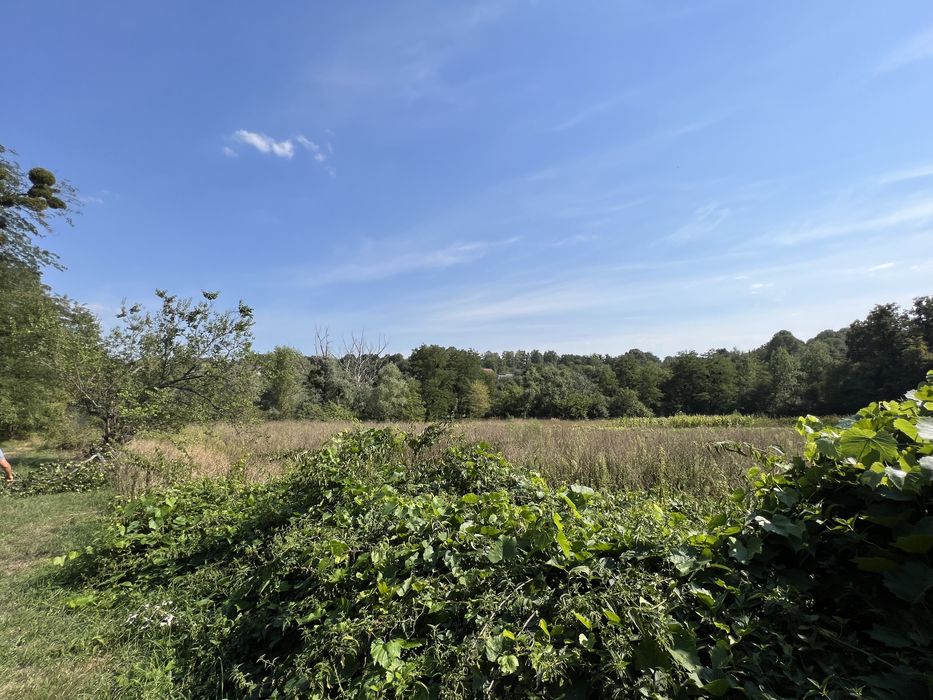 Делимый участок Рославичи рядом с озером