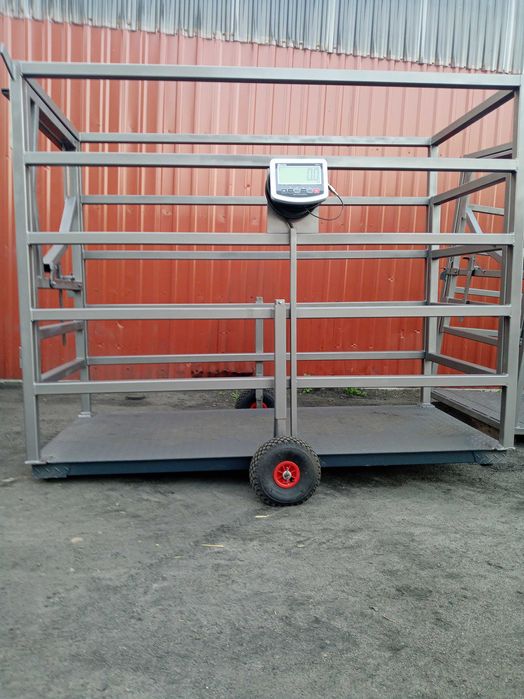 Poskrom z waga do bydła koni waga inwentarzowa