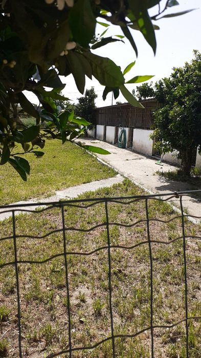 Hotel e Canil diário semanal mensal  ( Benavente )