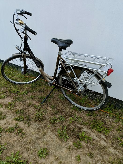 Rower batavus 28