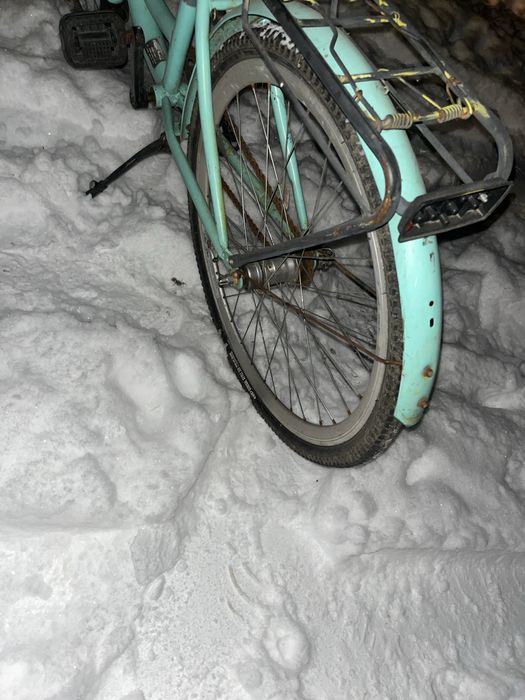 Rower damka miętowy