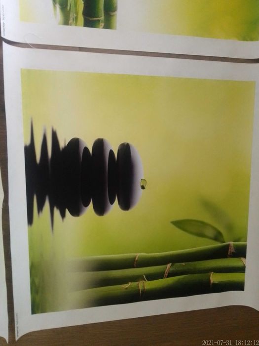 Telas modernas com bambus64585247646851122