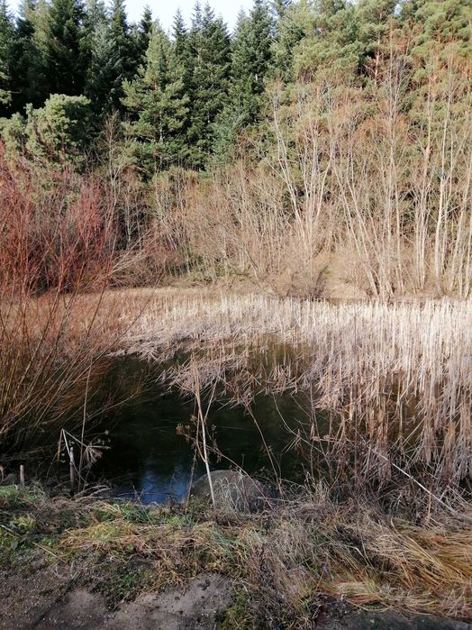 Готельна - Туристичний комплекс