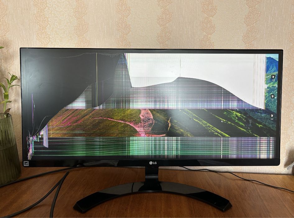 Основна плата (Main Board / T-CON+Main) монітора LG 29  781M032Y-0001