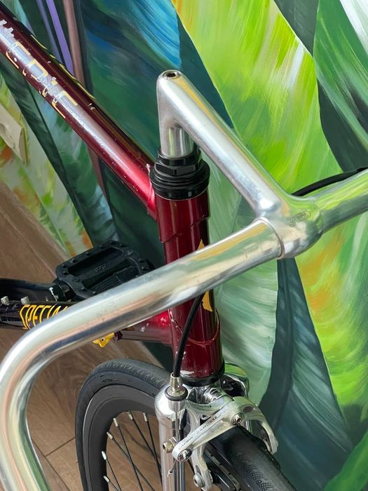 Продам карбоновий велосипед Specialized Epic carbon 1994 Single Speed Fixed