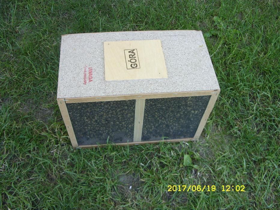 Pszczoły ramka 18 cm i 26 cm  oraz pakiety pszczele