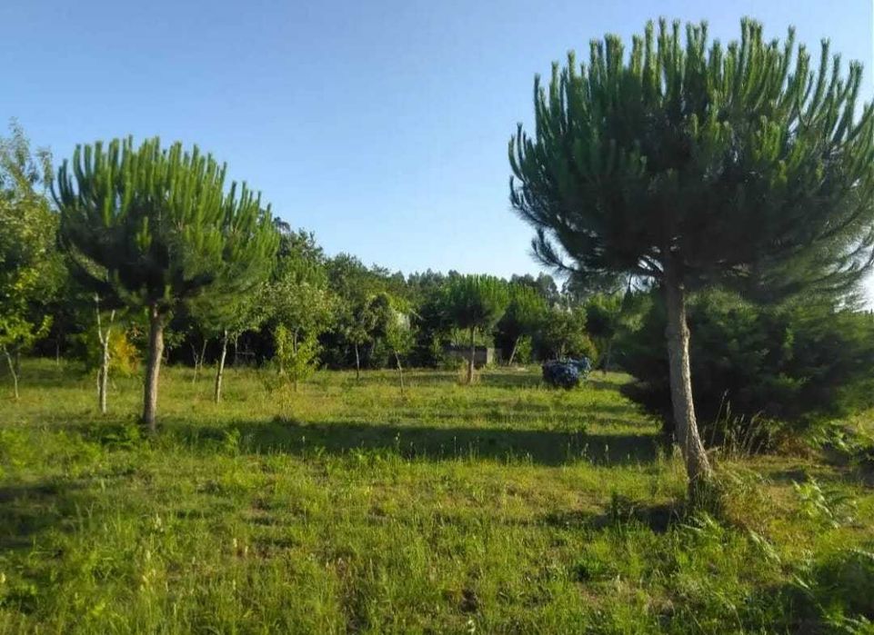 Moradia em Pedra V.N. Famalicão