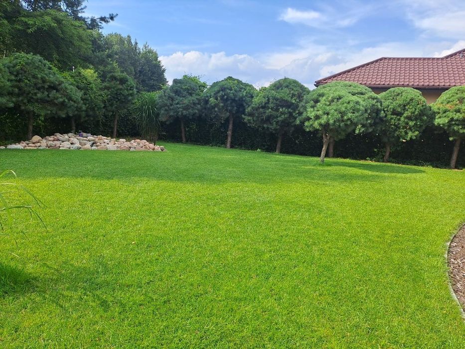 Ziemia ogrodowa sortowana pod trawnik