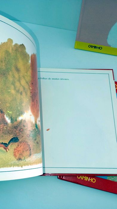 Coleção Biblioteca Infantil - Primavera/Verão/ outono/ Inverno