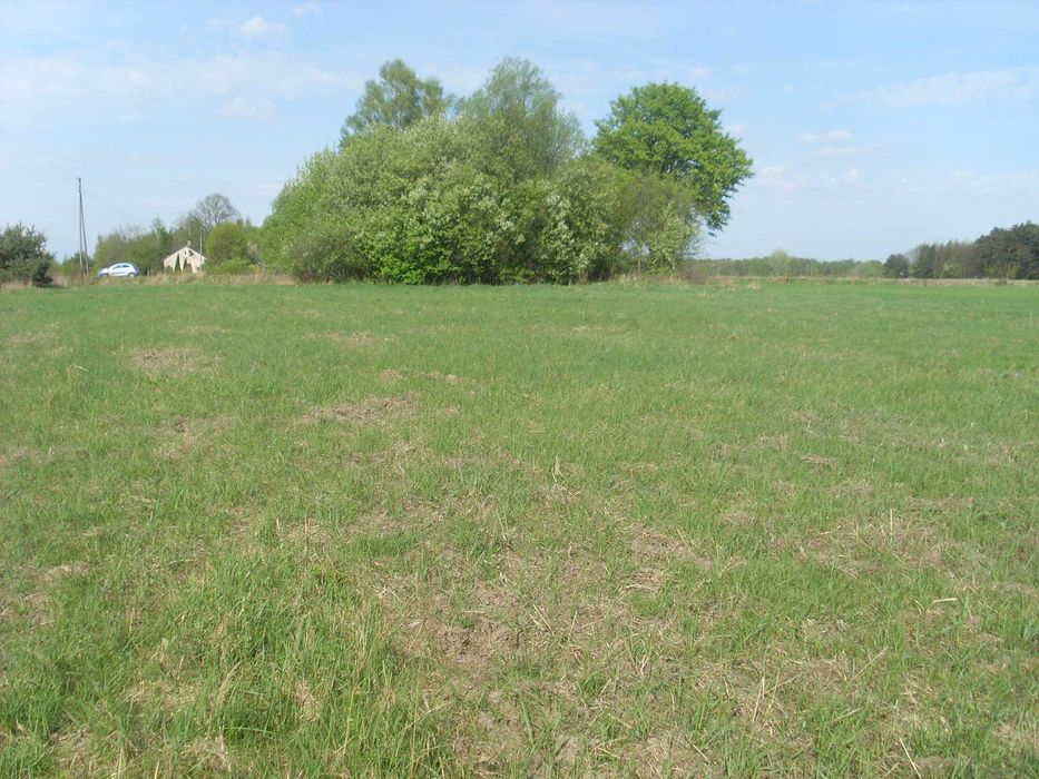 Działka 1.18 ha pod Mszczonowem | WZ | 25 zł/m2 - Widok 2
