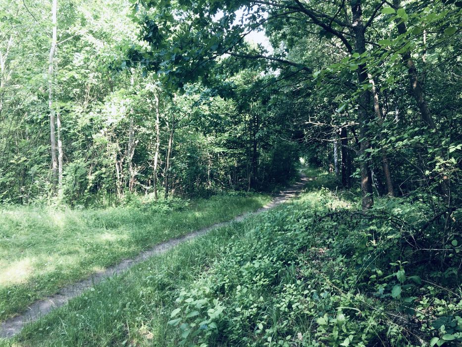 Земельна ділянка в Лісі 18сот. с.Вишнів, 10км.- Луцьк