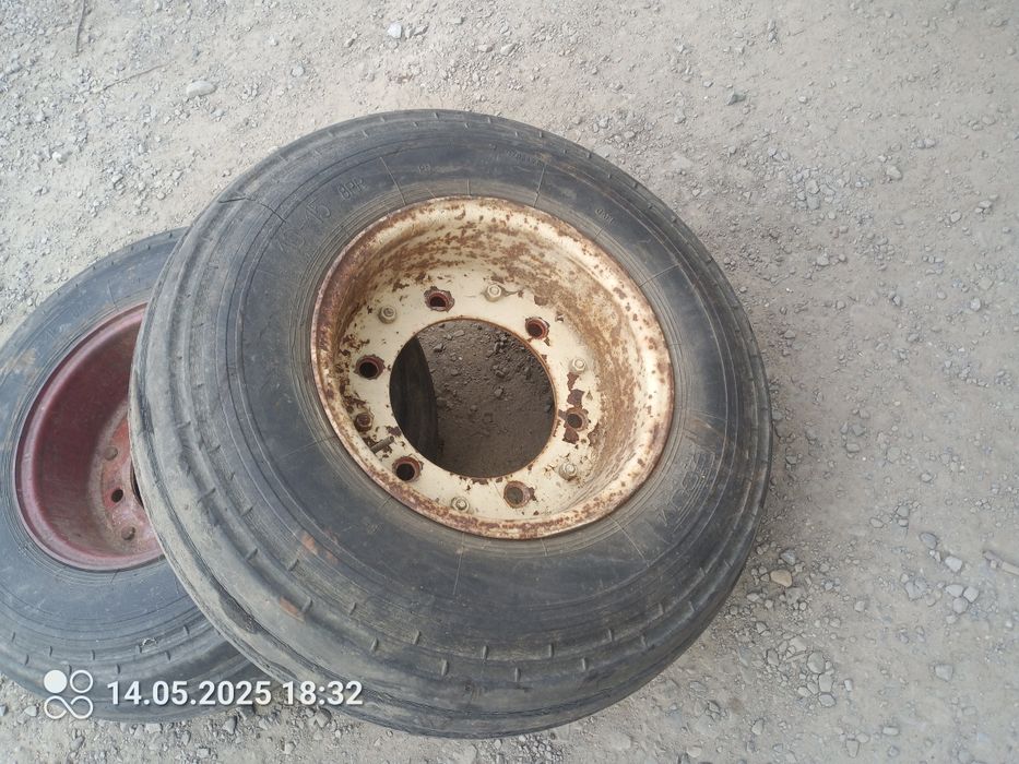 Koła bizon cyklop  stary typ