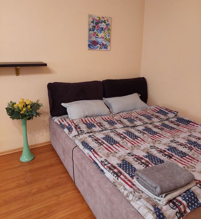 Подобова оренда 1к квартири в мальовничій центральній частині міста!