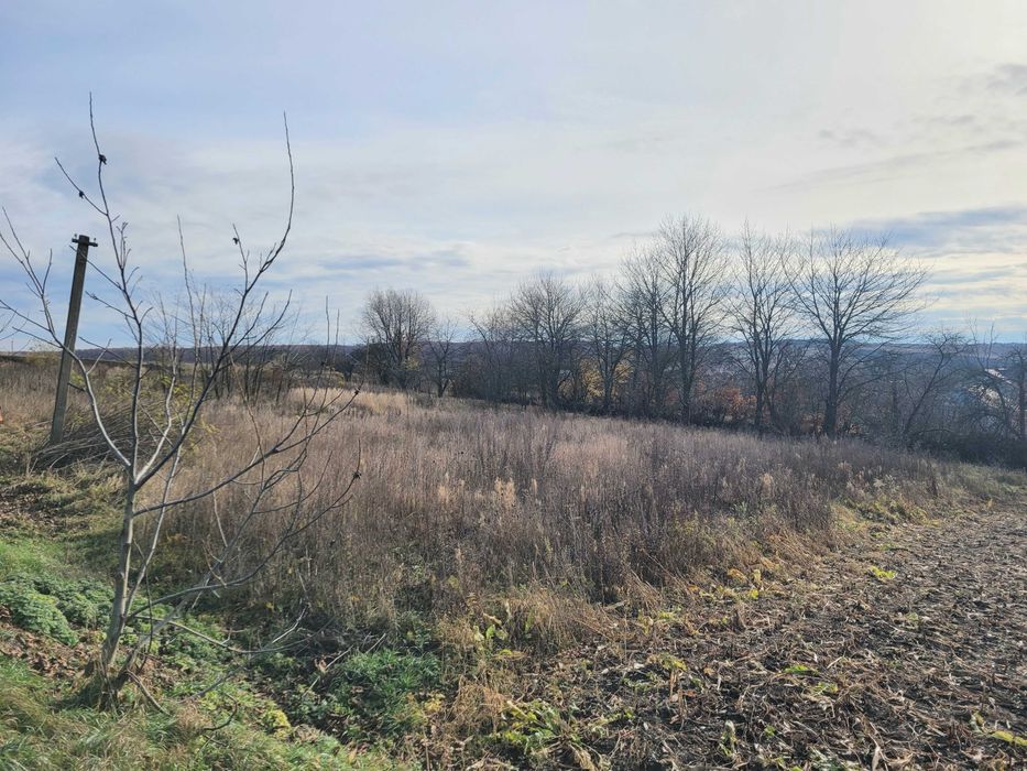 Землельна ділянка С/Г. Центр Колодіївки. 5 км до Івано-Франківська