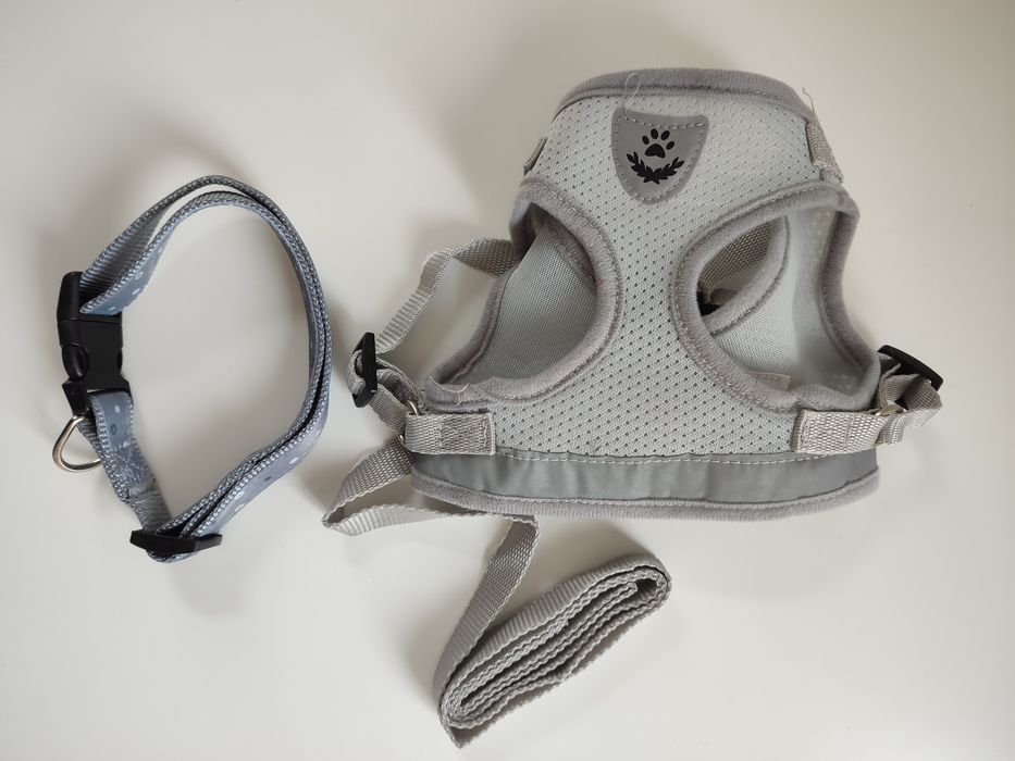 Нашийник та мотузка для песика нові