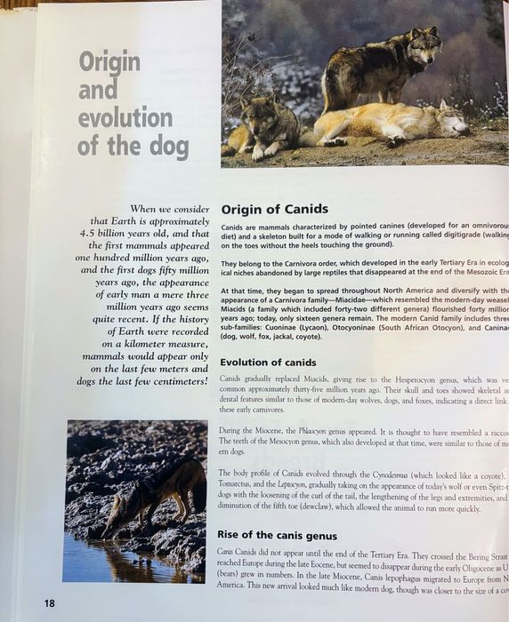 Encyklopedia psów małe rasy Royal Canin język angielski