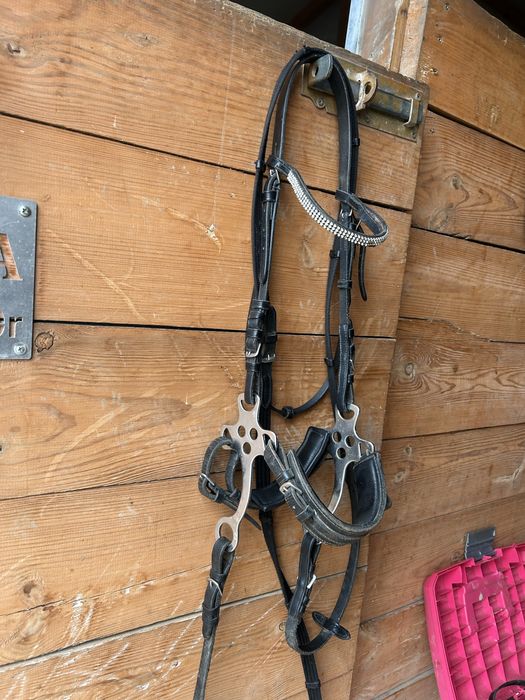 Hackamore rozmiar cob oglowie