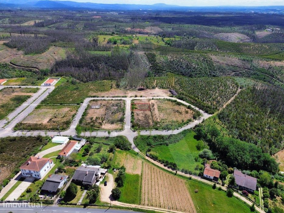 Land Plot in Valongo do Vouga