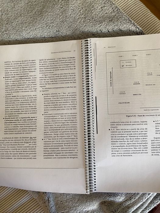 Livro Gestão das Organizações