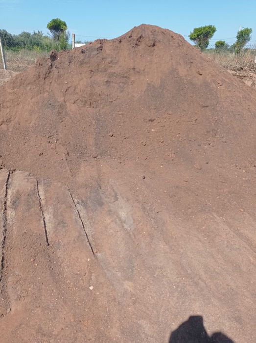 jose,,bitoque-lenhas,carvao,terra,jardim