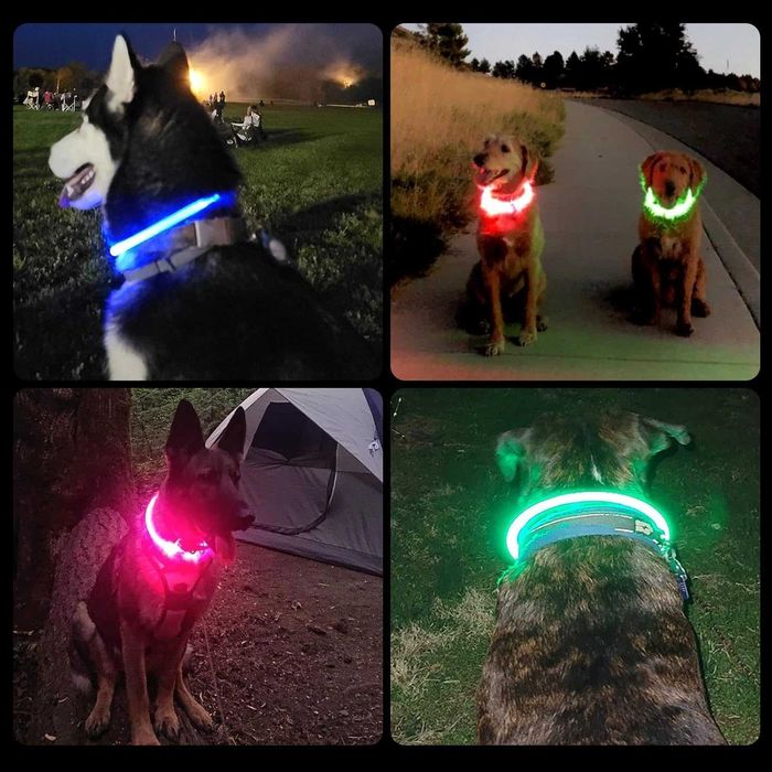 Nepfaivy LED Obroża Świecąca, dla Dużych i Średnich Psów, Zielona-B