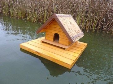 Домик для лебедів. Будиночок для лебедів. Лебединий будиночок.