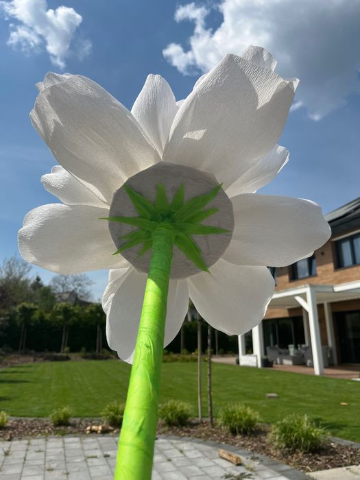 Ozdoba, kwiat z bibuły karbowanej