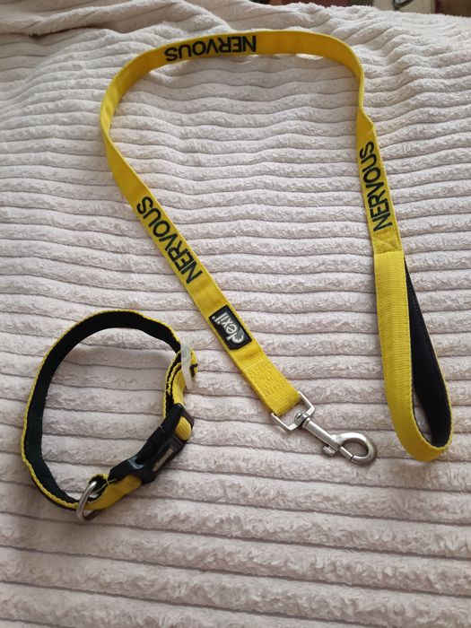 Проводок с ошейником DEXIL Nervous