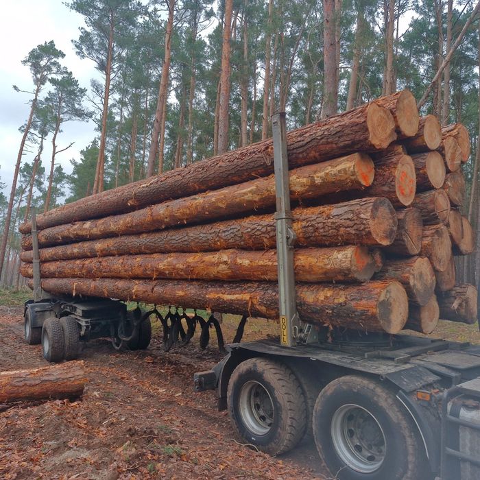 Drewno tartaczne sosna swierk 4, 5 ,6, 12 m