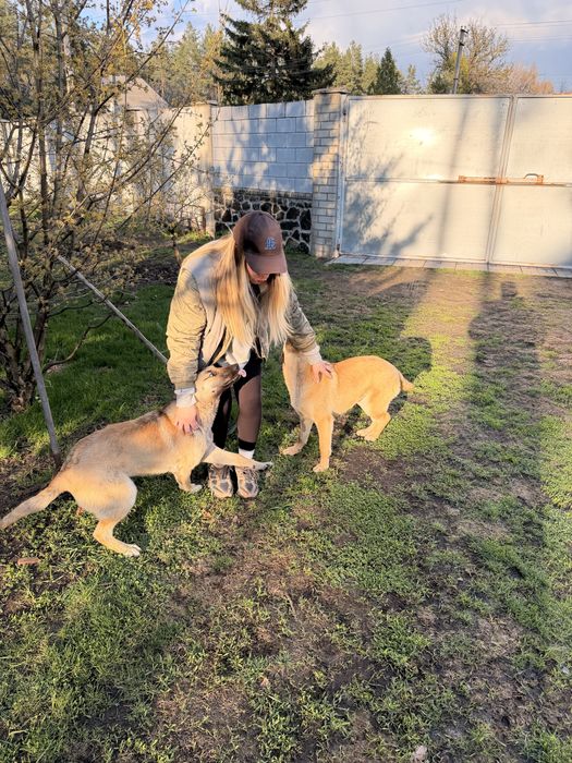 Дні дівчинки шукають дім