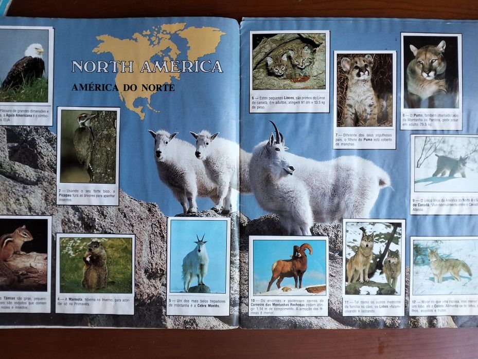 Antiga caderneta Animals World completa