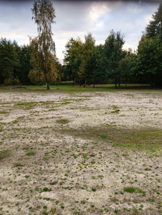 Sprzedam działki nad jeziorem