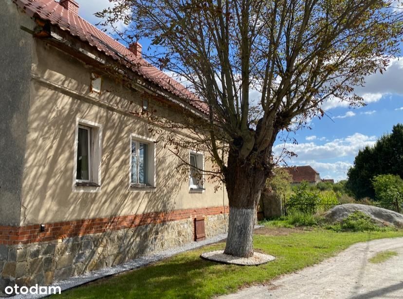 Dom Z Potencjałem I 259 M² Zabudowań Gospodarczych