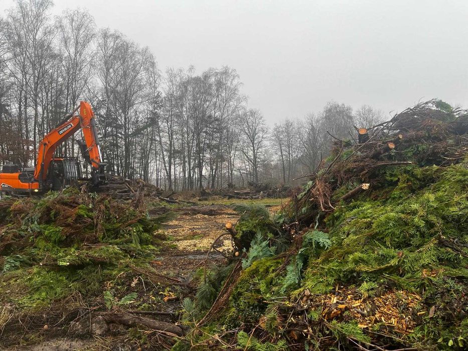 wywóz korzeni karpiny gałęzi drzew biomasa recykling