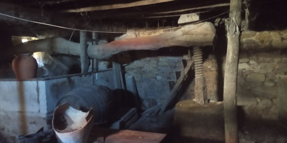 Adega Lagar de vara em pedra bicentenário