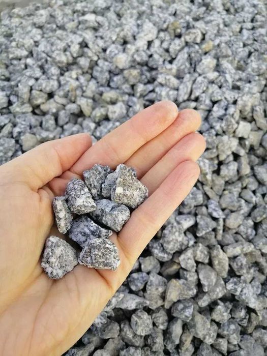 Dalmatyńczyk kamień ozdobny ogrodowy 16-22