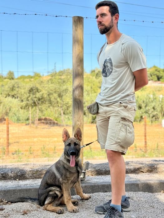 Treinador Canino