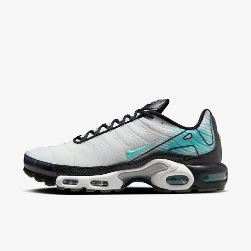 Чоловічі кросівки Nike Air Max Plus HV6225-100