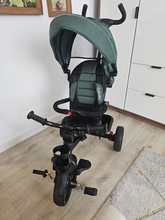 Rowerek trójkołowy Lionelo 2 w 1 model Haair