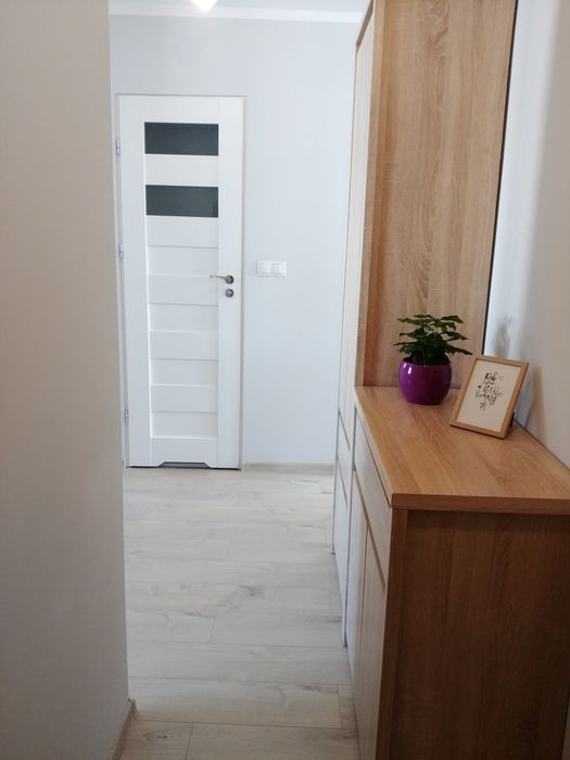 2-pokojowe mieszkanie po generalnym remoncie | Balkon | Pełne wyposażenie - Widok 3