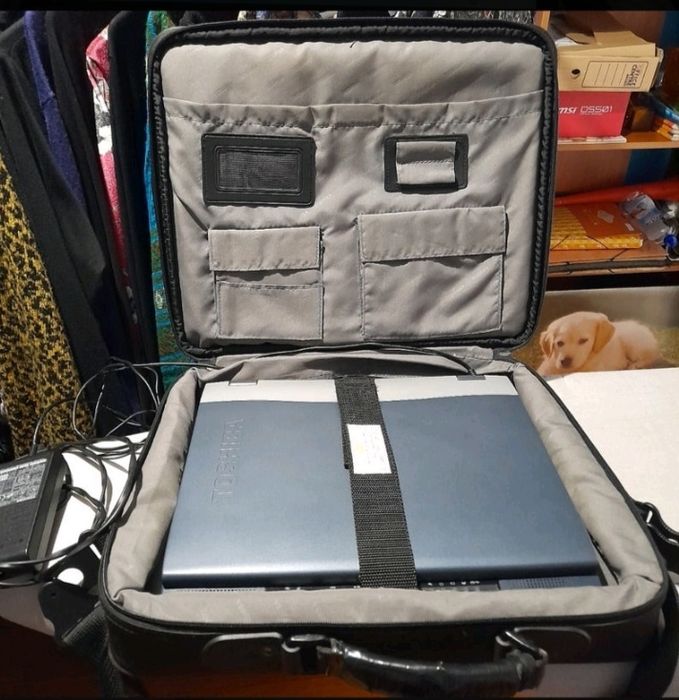 Computador  trabalha mas não tem placa de net