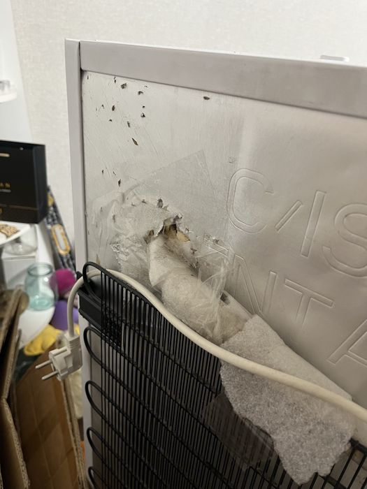 Морозильна камера Vestfrost 175л.