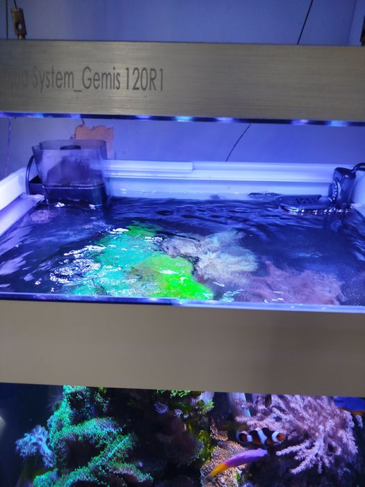 Odpieniacz+filtr Tunze Reefpack