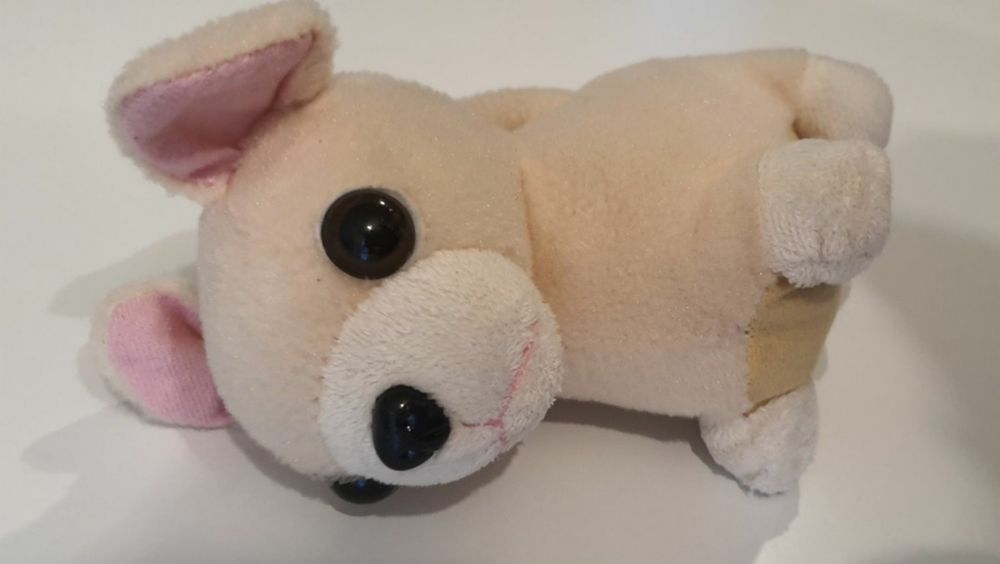 Pluszowy piesek chihuahua