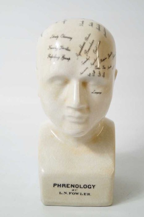Głowa medyczna lekarska mapa mózgu porcelana