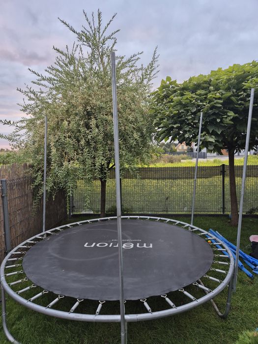 Trampolina 244cm