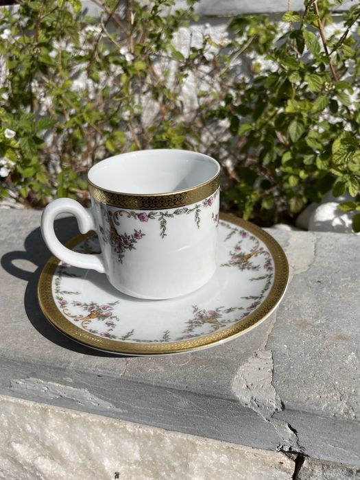Tirschenreuth Bavaria Porcelain Cup