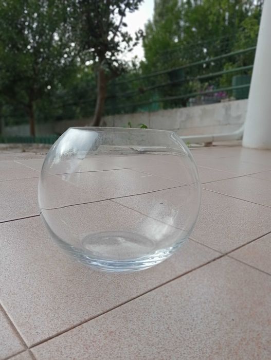 Vaso de vidro - bola aquário
